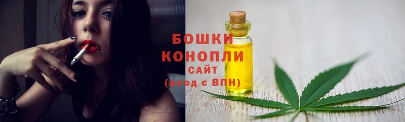 Бошки марихуана Amnesia  где продают   shop формула  Наволоки 